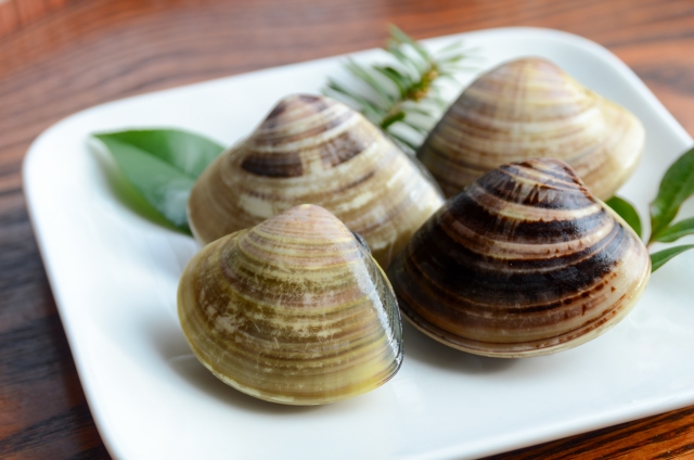 自宅で始める歯槽膿漏の予防法！積極的に食べたい三重のおすすめ食材